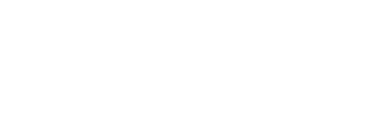 delta white logo