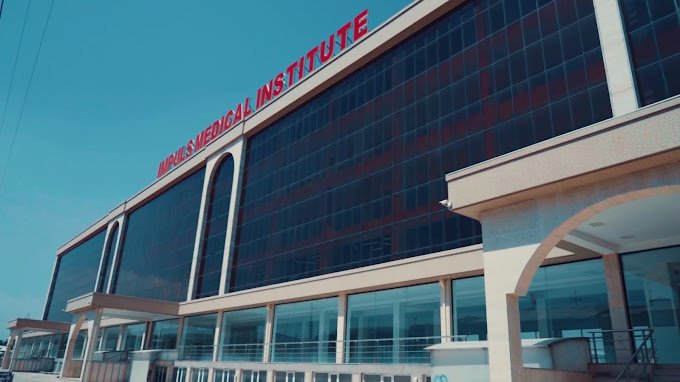 4.Impulse Medical Institute